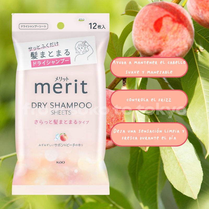 MERIT Dry Shampoo Sheets | Shampoo Seco en Toallitas