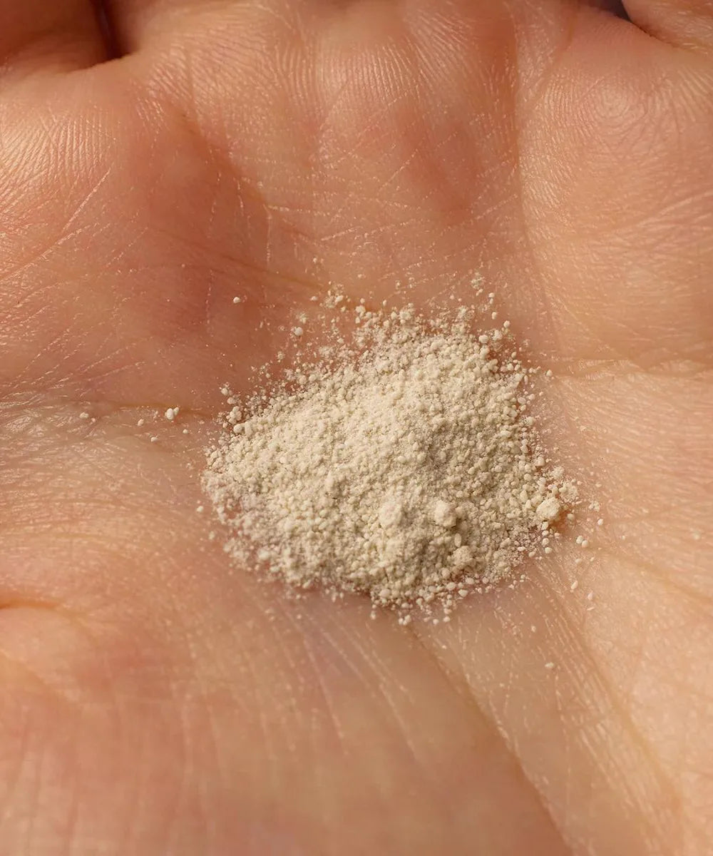 Green Tea & Enzyme Powder Wash