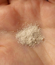 Green Tea & Enzyme Powder Wash