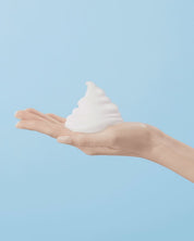 Perfect Whip Cleansing Foam